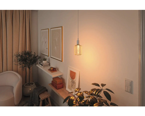 Vardagsrum med pendellampa, hyllor och krukväxter