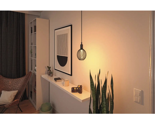 En bostadsmiljö med ett hyllsystem, en bild och en hängande lampa