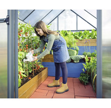 Flicka vattnar tomatplantor i växthus