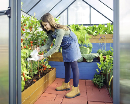 Flicka vattnar tomatplantor i växthus