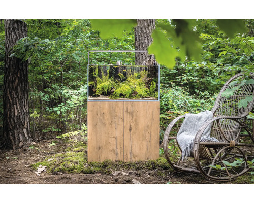 Akvarium med underskåp i skogen