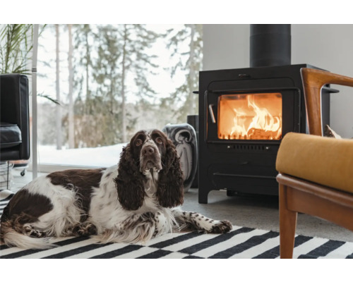 Hund ligger framför eldstaden i ett vardagsrum.