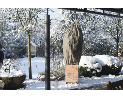 Växtskyddshuva i vinterträdgård