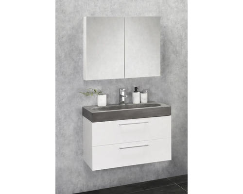 Badrumsmöbelset med handfat, underskåp med två lådor och spegelskåp