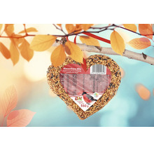 Hjärtformat fågelfoder för upphängning i ett träd