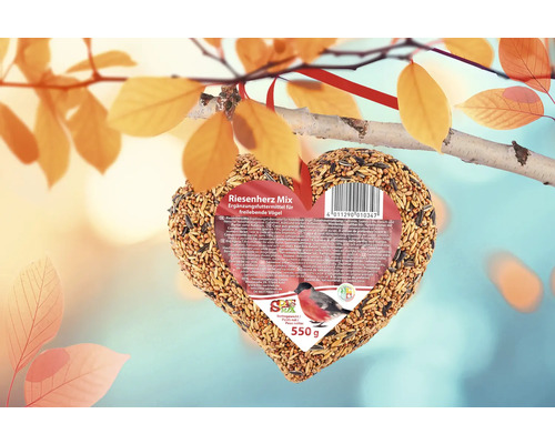 Hjärtformat fågelfoder för upphängning i ett träd