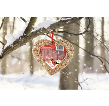 Hjärtformat fågelfoder att hänga på en snöig gren