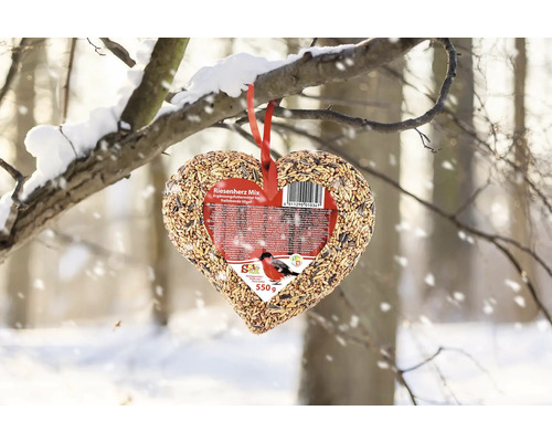 Hjärtformat fågelfoder att hänga på en snöig gren