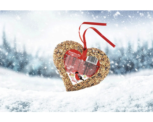 Hjärtformat fågelfoder med upphängningsband på snö