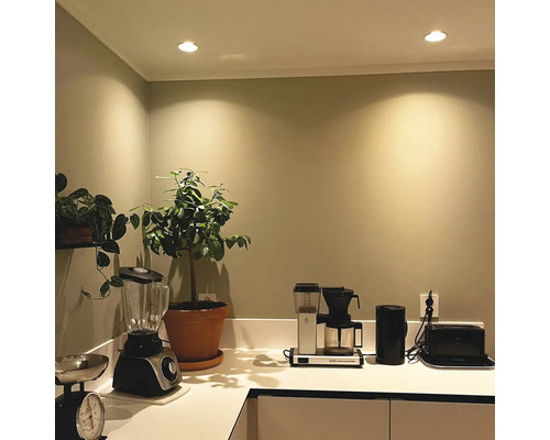 Köksscen med köksutrustning och krukväxter på en bänkskiva