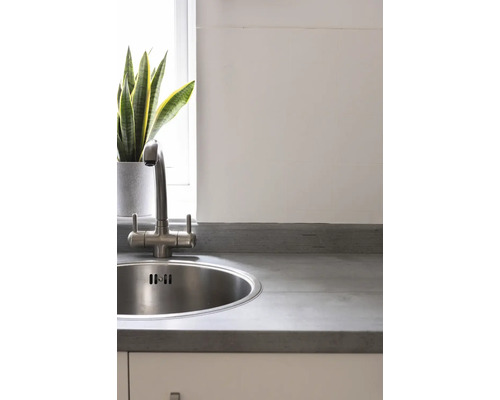 Diskho i rostfritt stål med kran på en bänkskiva