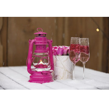 Dekorativ scen med rosa stormlykta, två fyllda glas och rosor på ett bord med snö