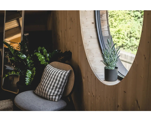 Ljus trävägg med runt fönster, krukväxt, stol med kudde och rumsväxter