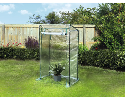 Växthus med växt i trädgården