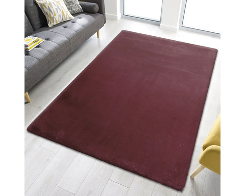 Rektangulär ryamatta i ett vardagsrum med soffa