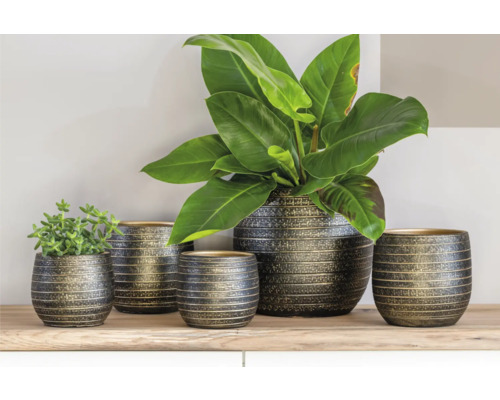 Dekorativa blomkrukor i olika storlekar på en hylla med växter