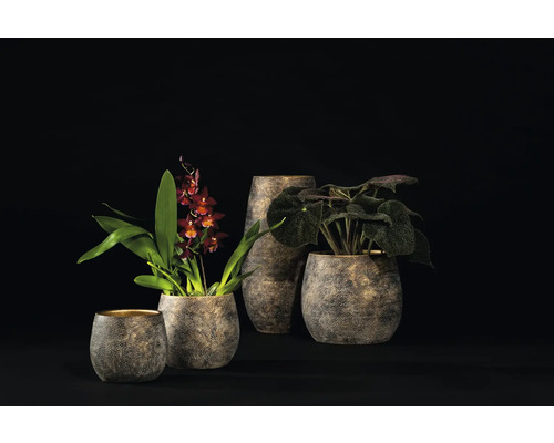 Diverse blomkrukor och vaser med växter mot mörk bakgrund