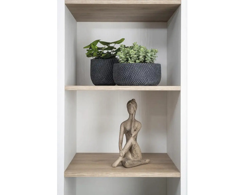 Dekorativ hylla med växter i krukor och en kvinnlig staty