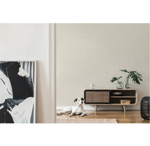 Ljust vardagsrum med byrå, dekoration och hund