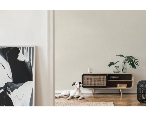 Ljust vardagsrum med byrå, dekoration och hund