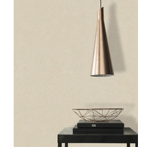 Tapet A.S CRÉATION Effektoptik beige 10,05x0,53m