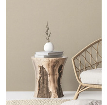 Tapet A.S CRÉATION Effektoptik beige 10,05x0,53m