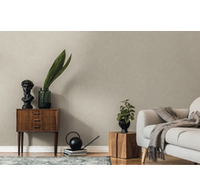 Tapet A.S CRÉATION Enfärgad beige 0,53x10,05m