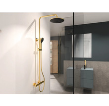 Duschsystem med takdusch och handdusch i badrum