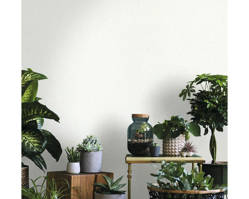 Ljusa, dekorativa krukväxter i olika krukor och behållare.