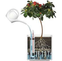 Illustration av ett bevattningssystem för växter med vattenkanna och vattennivåindikator