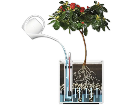 Illustration av ett bevattningssystem för växter med vattenkanna och vattennivåindikator