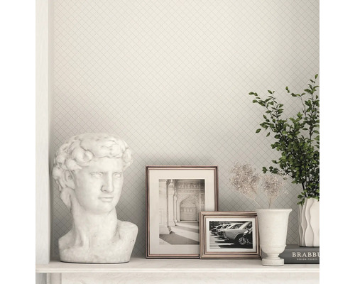 Dekorativ vägg med rutmönster, byst, inramade bilder och krukväxt