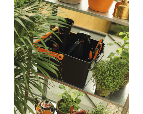 Trädgårdsredskap och växter på en hylla