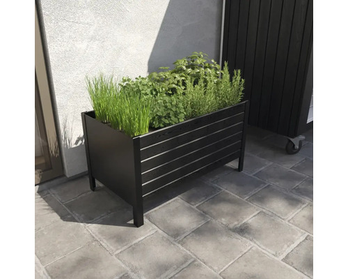 Träplanteringslåda med örter på en terrass