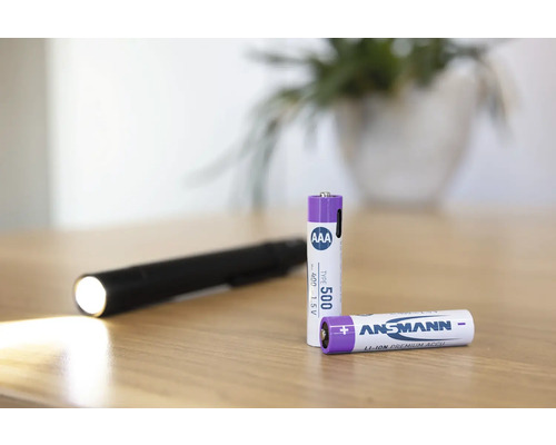 Ansmann AAA-batterier och en ficklampa