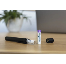 Ansmann batteri med laddare och öppen ficklampa