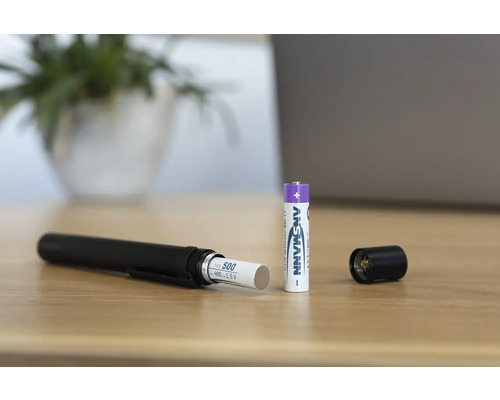 Ansmann batteri med laddare och öppen ficklampa