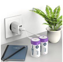 Två D-batterier laddas med en laddare som är ansluten till ett eluttag. Anteckningsbok och penna ligger på bordet. Krukväxt i bakgrunden.