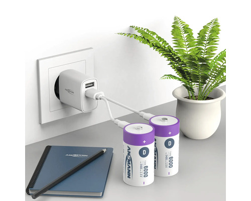 Två D-batterier laddas med en laddare som är ansluten till ett eluttag. Anteckningsbok och penna ligger på bordet. Krukväxt i bakgrunden.
