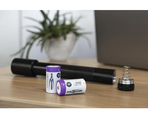Ansmann batterier D och LED ficklampa