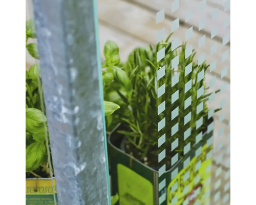 Närbild av ett växthus med örter