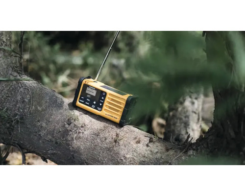 Gul byggnadsradio på en trädstam