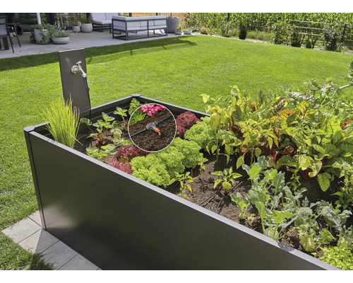 Hög säng med bevattningssystem och olika grönsaker i trädgården