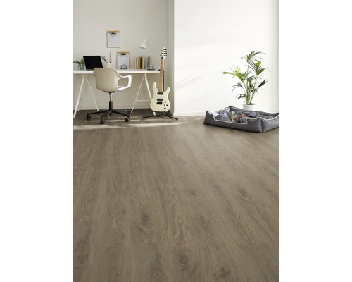 Ljust rum med laminatgolv, skrivbord, stol, gitarr, krukväxt och hundsäng