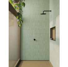 Badrum med dusch, väggplattor och växt