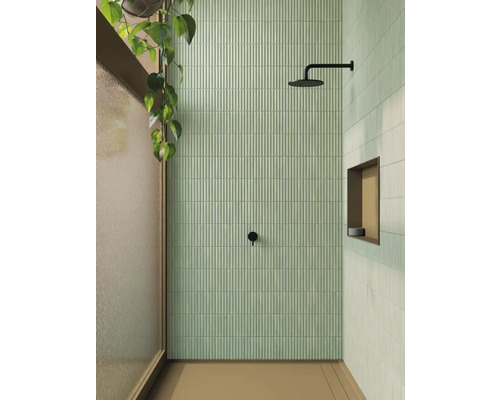 Badrum med dusch, väggplattor och växt