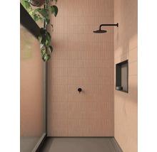 Badrum med kaklade väggar, dusch och växt