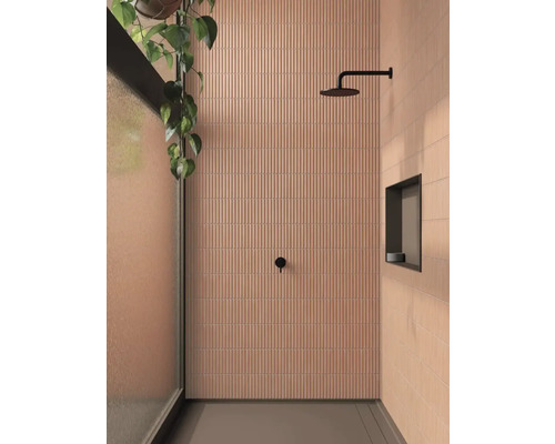 Badrum med kaklade väggar, dusch och växt