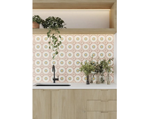 Diskho med mönstrat kakel och krukväxter