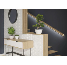 Modern interiör med konsol, spegel, trappa och växter